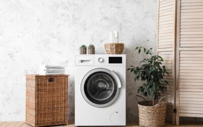 Lavatricja mban aromë të keqe